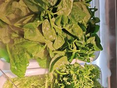 -野山舂·贵州现舂酸汤火锅(鸿通城店)