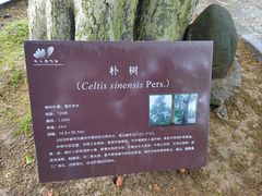 -南山植物园