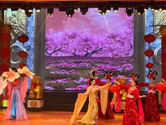 -金东尼人妖秀