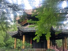 -青羊宫