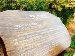 景点-成都大熊猫繁育研究基地