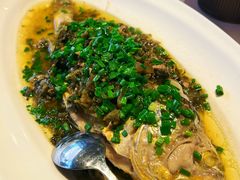 -顶特勒·黄鱼馆·特色菜(上海大世界店)