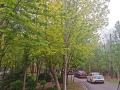 -秦皇岛野生动物园