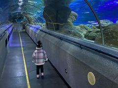 -大连圣亚海洋世界