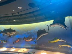 -陕西自然博物馆