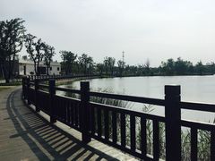 -上海长兴岛郊野公园