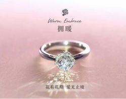点击看大图 -钻石小鸟钻戒婚戒定制(石路店)