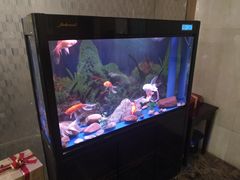 -宜昌富力皇冠假日酒店·咖啡1号西餐厅