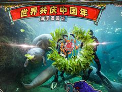 -珠海长隆海洋王国