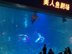 -福州罗源湾海洋世界旅游区