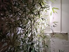 -拾壹cafe·工作室