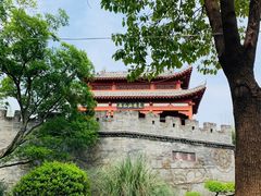 -武汉园博园(武汉自然博物馆)