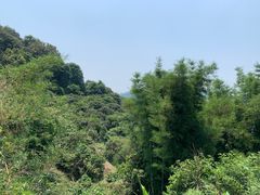 -天鹿湖森林公园