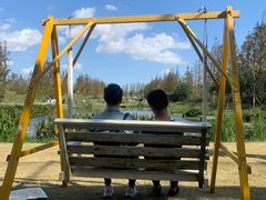 -上海长兴岛郊野公园