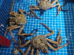 -渔港甄宴·海鲜·地标烟台菜(金沙滩店)
