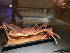-蟹犇前•帝王蟹雪蟹(陆家嘴店)