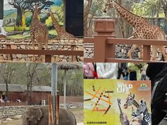 -北京野生动物园