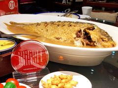红烧黄河大鲤鱼（49元/斤）-阿庄新豫菜(通泰路店)