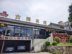 -古榕农庄·桑拿簸箕菜·招牌泥焗鸡(清远长隆店)