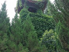 -华清宫景区