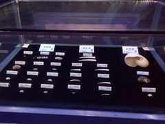 景点-贝壳梦幻世界