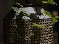 -六区宿舍咖啡店