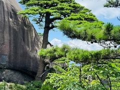-黄山风景区