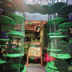 -恐龙探索乐园(磁器口店)