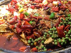 -吞鱼兽麻辣烤鱼(万达店)