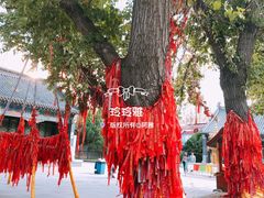 景点-锡伯族家庙