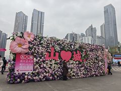 -重庆十八梯传统风貌区