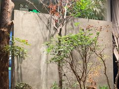 -森SPA·泰式按摩·精油Massage(宝安中心店)