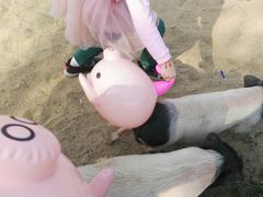 -田园东方蜜桃村的田野营地
