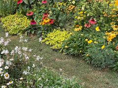 -深圳仙湖植物园