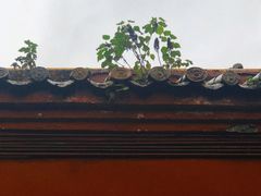 -南岳大庙