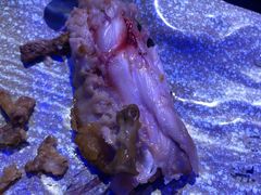 -焰鱼(昌建广场店)