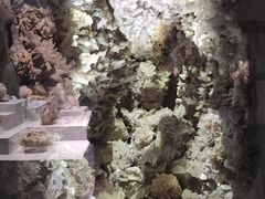 -湖南省地质博物馆