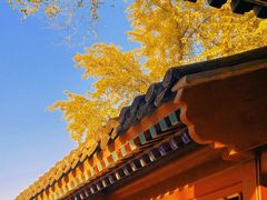 -北京石刻艺术博物馆(五塔寺)
