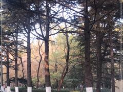 -八大关景区
