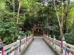 -西双版纳原始森林公园