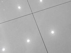 -皇冠幸福里动物奶油生日蛋糕(万达店)