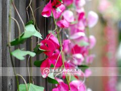 IMG_2580-上海浦西开元大酒店