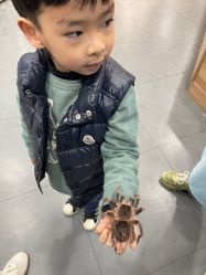 -Moni星球萌宠·小马宝莉·灵蛇·高端高阶全萌宠互动体验俱乐部(红豆国际广场店)