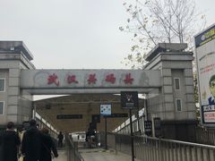 -武汉关码头(轮渡站)