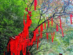 -黄花溪