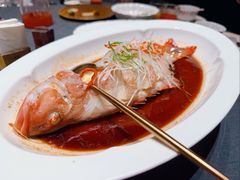 葱油东星斑-锦府园·新台州菜(合生汇店)