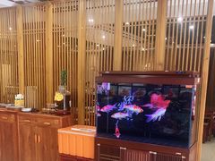 -邵年鸽(杨庄店)