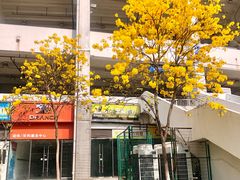 -天河体育中心