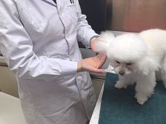 -宠颐生宠物医院·心肾内科·猫专科诊疗中心宠巢店