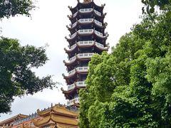 -仙岳公园